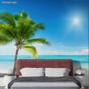 Wallpaper Palm beach