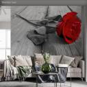 Wallpaper Red rose