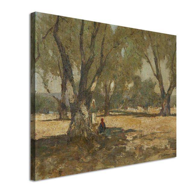 Canvas print Under the olive tree , Oikonomou