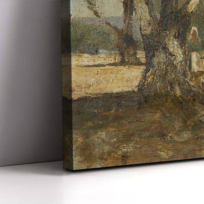 Canvas print Under the olive tree , Oikonomou
