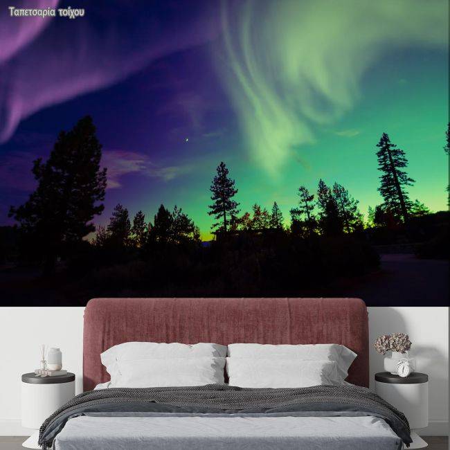 Ταπετσαρία τοίχου Northern lights at forest