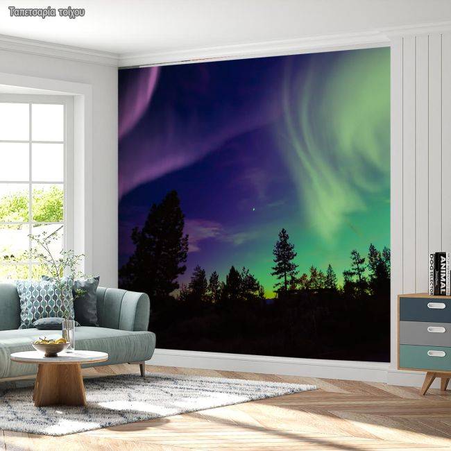 Ταπετσαρία τοίχου Northern lights at forest