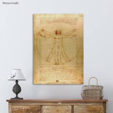 Πίνακας ζωγραφικής The vitruvian man, Leonardo da Vinci, καμβάς 1