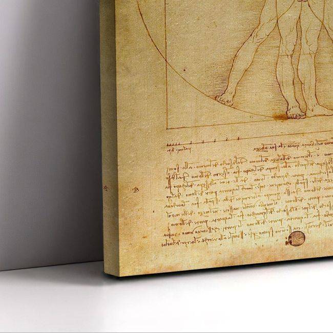 Πίνακας ζωγραφικής The vitruvian man, Leonardo da Vinci, καμβάς 7