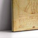 Πίνακας ζωγραφικής The vitruvian man, Leonardo da Vinci, καμβάς 7