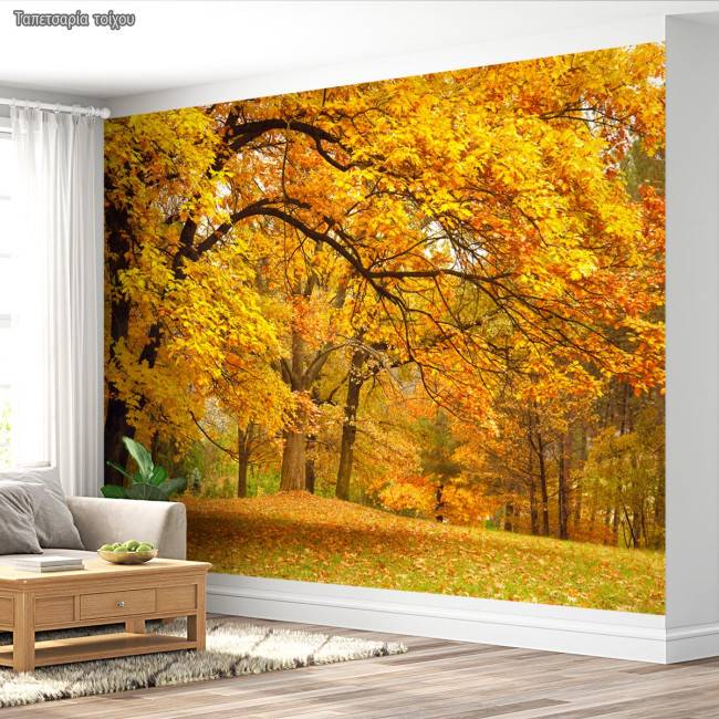 Wallpaper Scenery at forest II