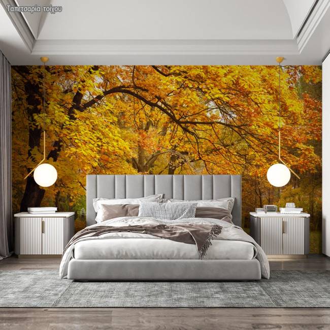 Wallpaper Scenery at forest II