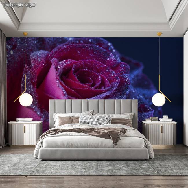 Ταπετσαρία τοίχου Purple rose drops