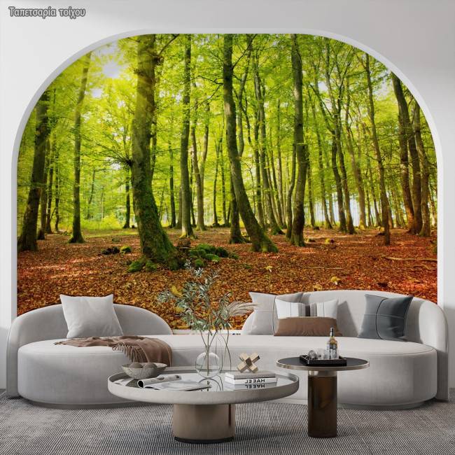 Wallpaper Beautiful morning in autumn forest