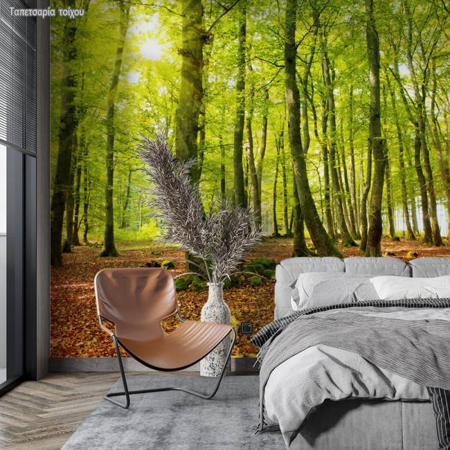 Ταπετσαρία τοίχου Beautiful morning in autumn forest