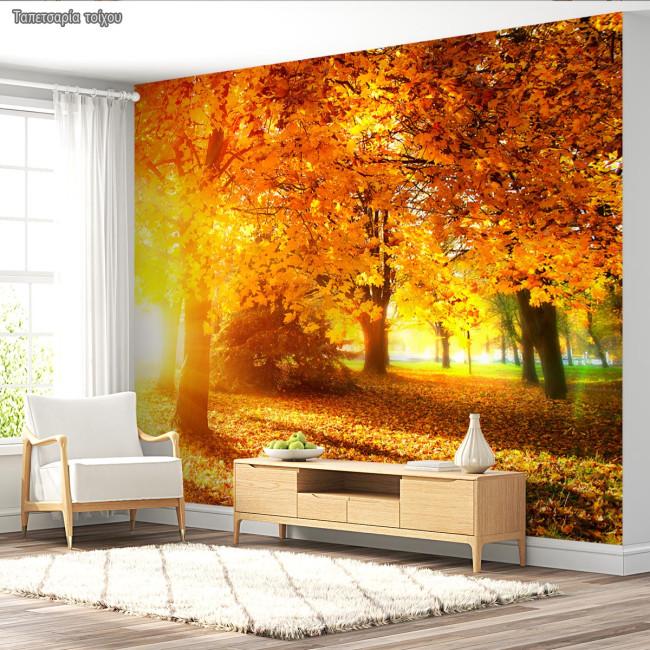 Wallpaper Autumn landscape in the forest