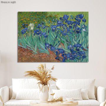 Πίνακας ζωγραφικής Irises, Vincent van Gogh, καμβάς 1
