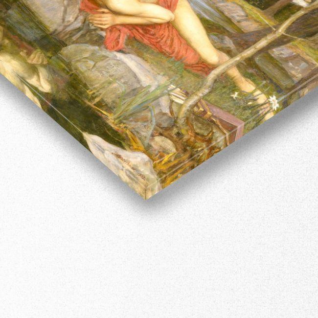Πίνακας ζωγραφικής Echo and Narcissus, Waterhouse J.W, πανοραμικός