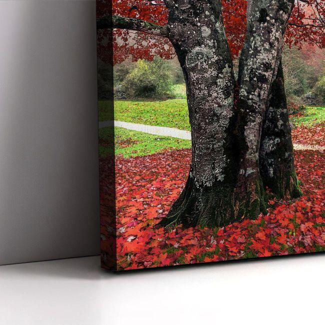 Πίνακας σε καμβά Red leaves, τρίπτυχος, καμβάς 8