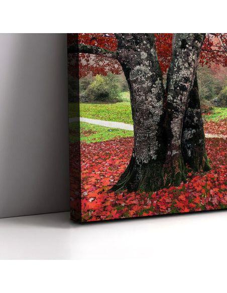 Πίνακας σε καμβά Red leaves, τρίπτυχος, καμβάς 8