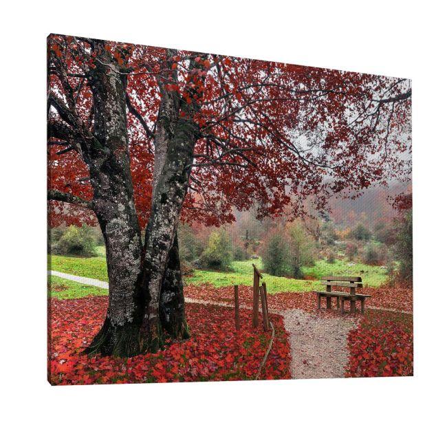 Πίνακας σε καμβά Red leaves, καμβάς 6