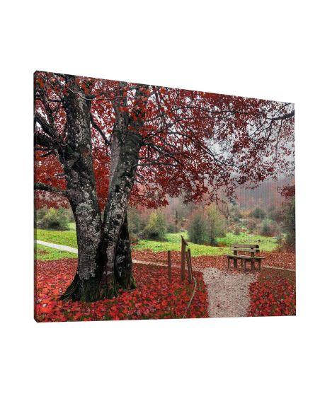 Canvas print Red leaves