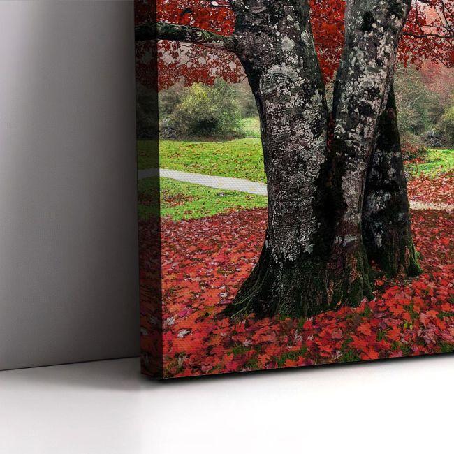 Canvas print Red leaves