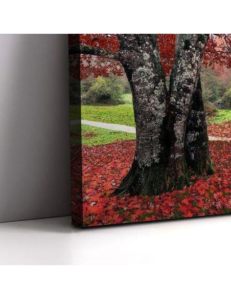 Canvas print Red leaves