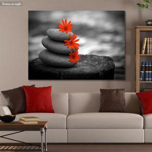 Canvas print Red flowers ballance