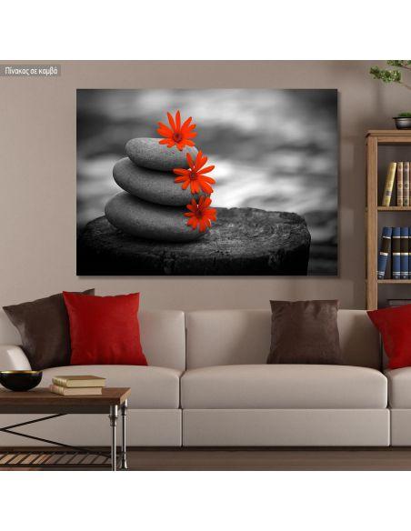 Πίνακας σε καμβά Red flowers balance