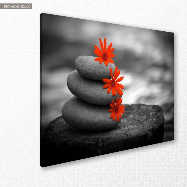 Πίνακας σε καμβά Red flowers balance