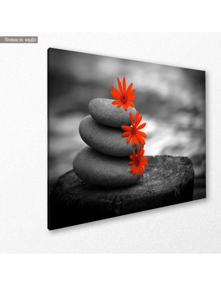 Πίνακας σε καμβά Red flowers balance