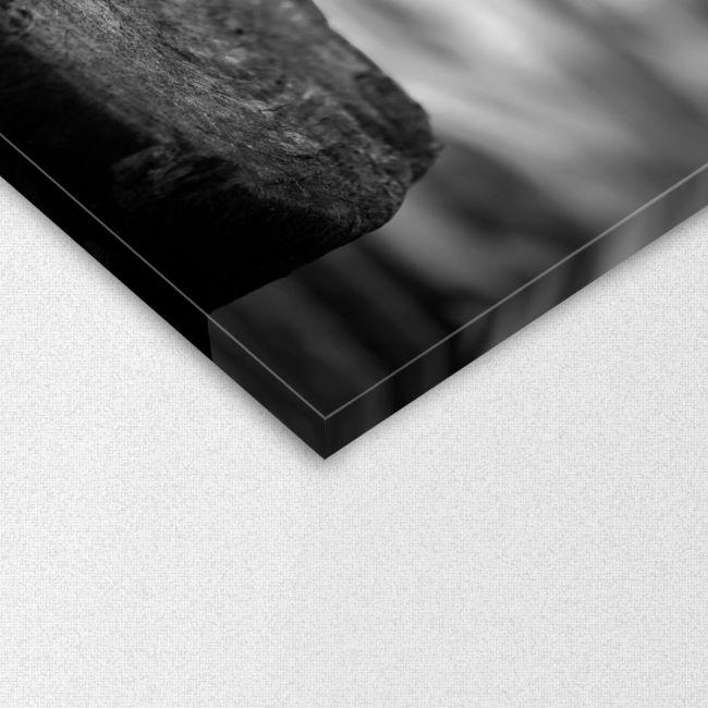 Canvas print Red flowers ballance