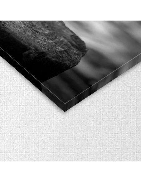 Canvas print Red flowers ballance