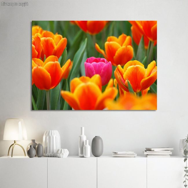Canvas print Pink tulip