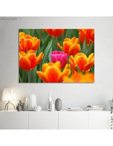 Canvas print Pink tulip