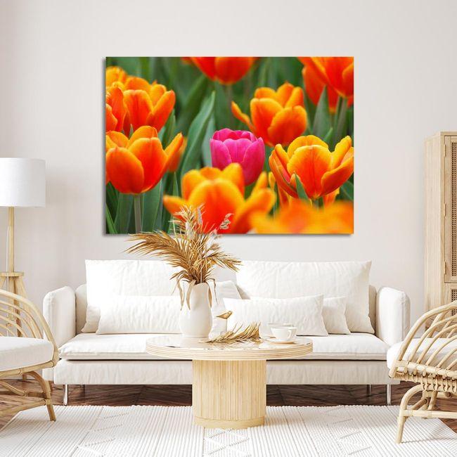 Canvas print Pink tulip