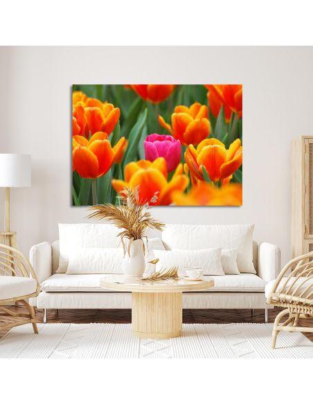 Canvas print Pink tulip