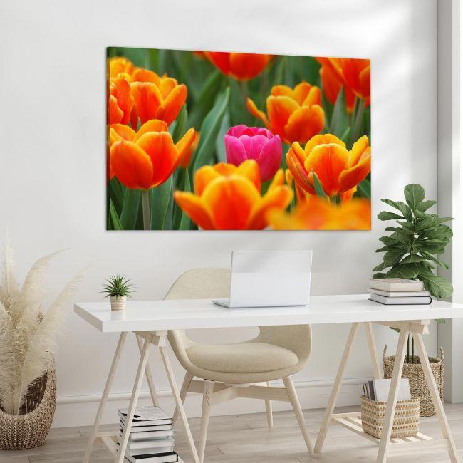 Canvas print Pink tulip