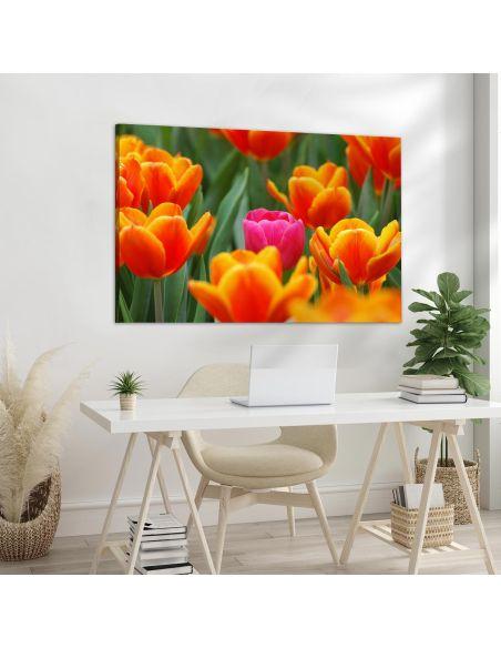 Canvas print Pink tulip