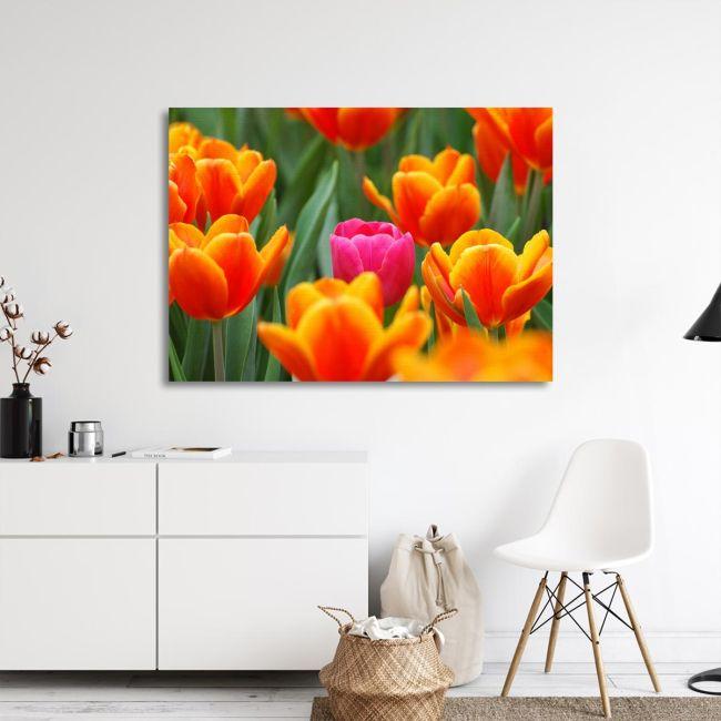 Canvas print Pink tulip