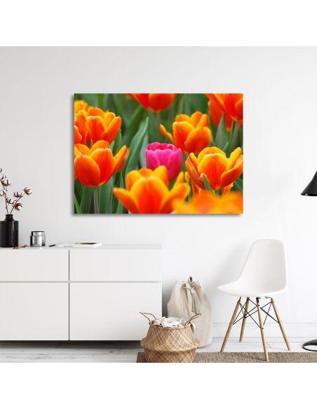 Canvas print Pink tulip