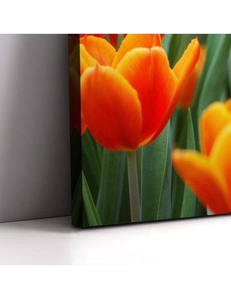 Canvas print Pink tulip