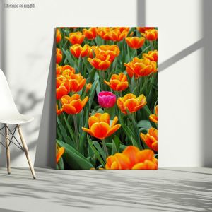 Canvas print Pink tulip between orange