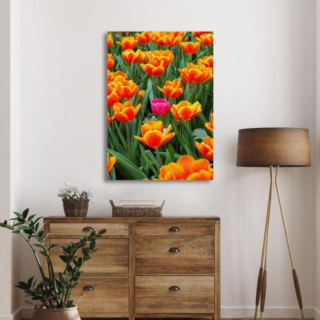 Canvas print Pink tulip between orange