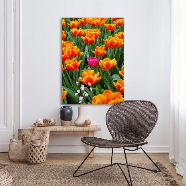 Canvas print Pink tulip between orange