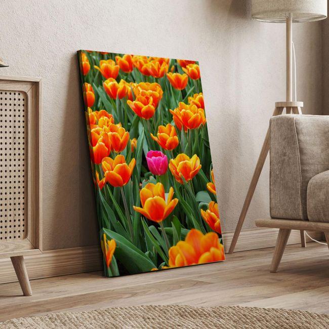Canvas print Pink tulip between orange