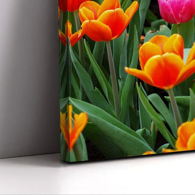 Πίνακας σε καμβά Ροζ τουλίπα ανάμεσα σε πορτοκαλί, καμβάς 7