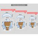 Wall stickers sign Cute Bear