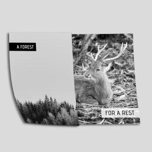 A forest for a rest αφίσα πόστερ δίπτυχο  Αφίσα πόστερ με μαύρη κορνίζα 2