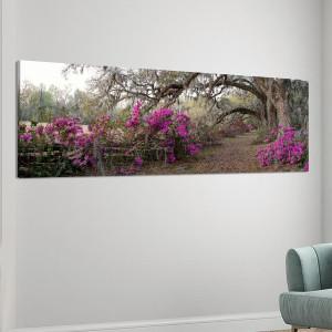 Canvas print Azaleas panoramic Framed canvas View 1 2