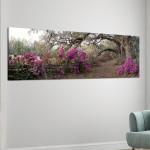 Canvas print Azaleas, panoramic