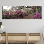 Πίνακας σε καμβά Azaleas, πανοραμικός