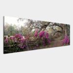 Canvas print Azaleas, panoramic