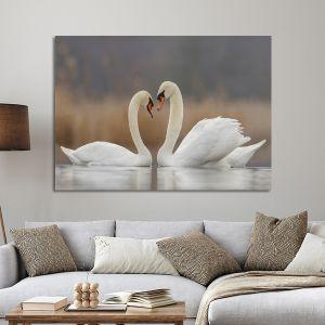 Canvas print Swans in love